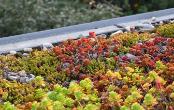 the cost of St Michaels green roof installation