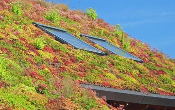 St Michaels living roof systems