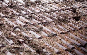 St Michaels roof cleaning companies