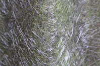 St Michaels fibreglass roof work